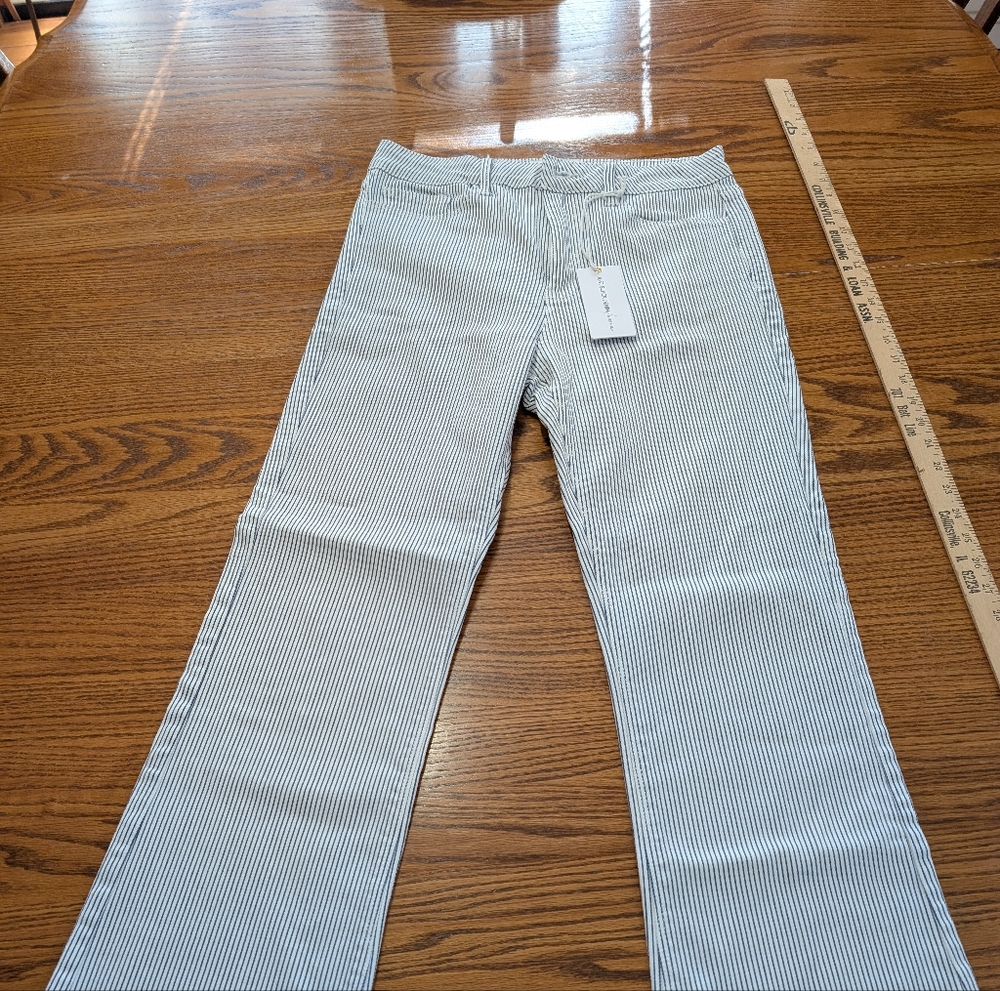 NWT Just black denim striped cropped jean, Size 30